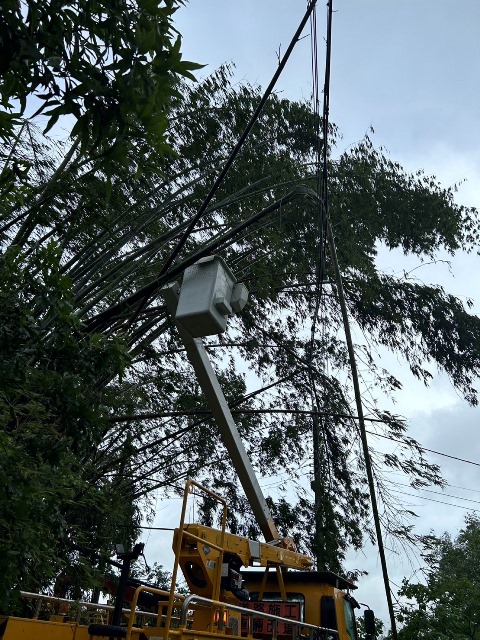 台電台南區處及新營區處全力搶修海葵颱風影響區域下午六時已全面恢復正常供電