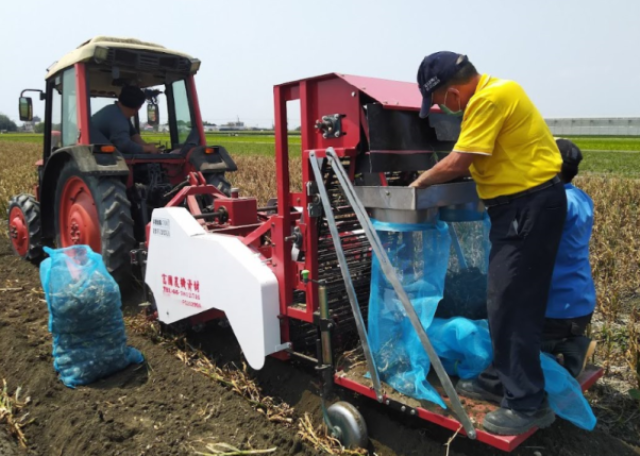 大蒜機械化大躍進  臺南農改場研發附掛式挖掘型大蒜收穫機