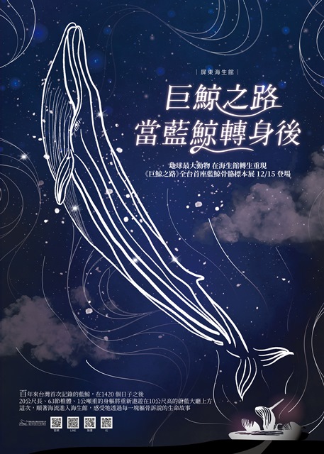 全臺首座藍鯨骨骼標本展示『巨鯨之路』 屏東海生館12月15日公開展示