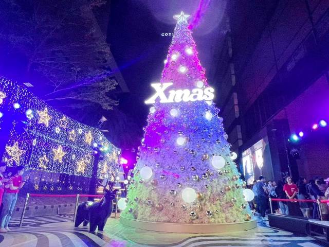 台南最美麗的耶誕裝置《奇幻樂園Fantastic Christmas》吸引萬人朝聖打卡