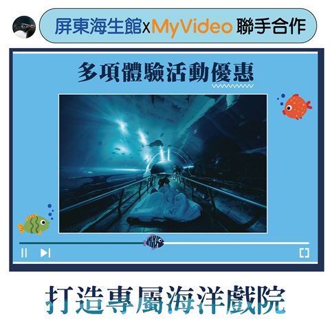 my video合作