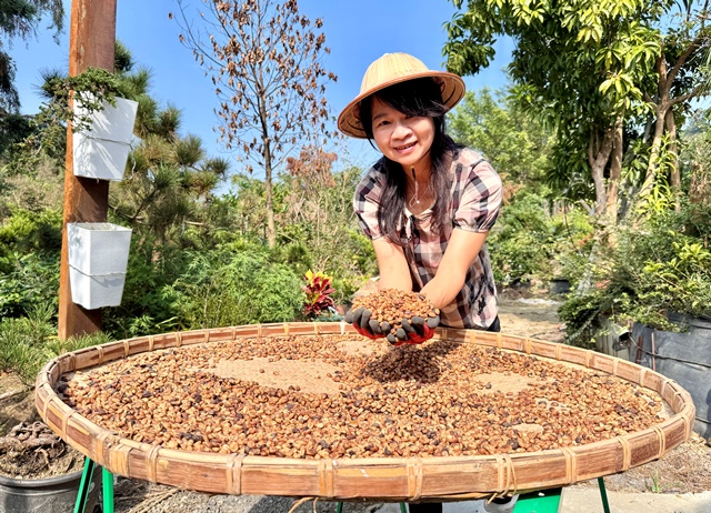 圖1.王素珍憑藉著對咖啡的熱愛與勞動部產投在職課程加持，成功在阿里山創設自己的咖啡事業。