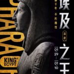 1-奇美博物館大展《埃及之王：法老》主視覺。圖-奇美博物館提供