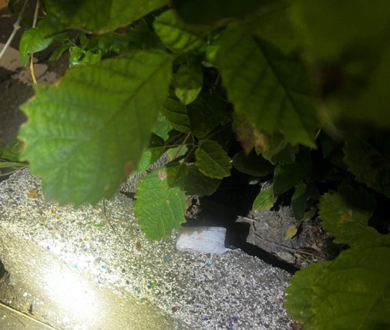 S__150503448