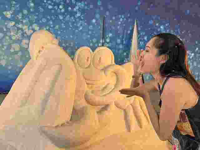 (2)請備註雲嘉南管理處提供