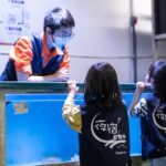 後場行程-觀察水母