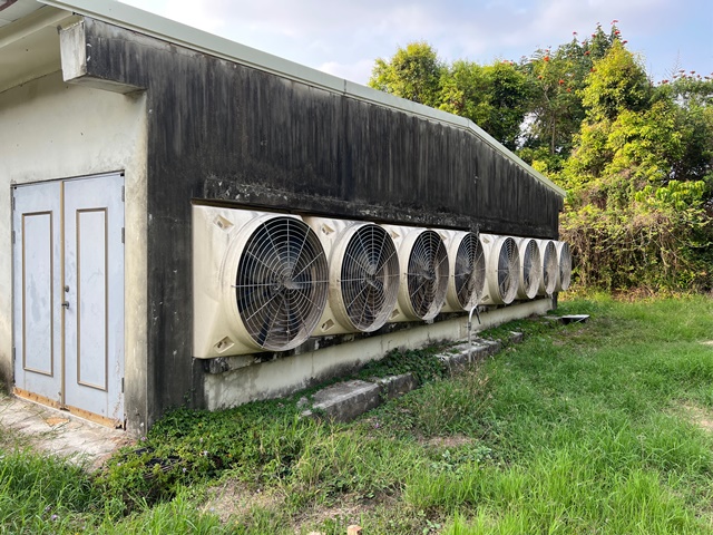 圖1.蛋雞舍改建變頻負壓風扇後可降低平均用電量