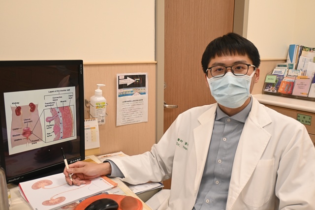 安南醫院泌尿科醫師董修廷指出，人體泌尿道從腎盂、輸尿管到膀胱皆覆蓋著上皮細胞，