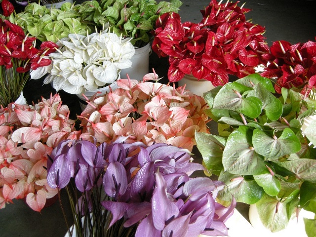 image001