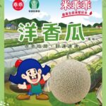 後壁米乖乖