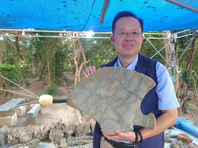 圖1最新出土的恆春半島巨鯨化石